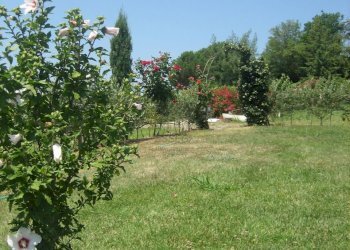 fattoria 2012 048.jpg - Casale via di san martino, Lucca - foto 19