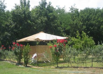 fattoria 2012 049.jpg - Casale via di san martino, Lucca - foto 20