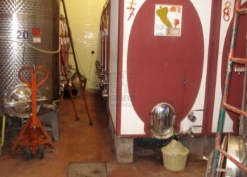 matrimonio alldo e misto 301.jpg - Casale via di san martino, Lucca - foto 22