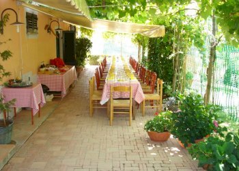pergola2.jpg - Casale via di san martino, Lucca - foto 24
