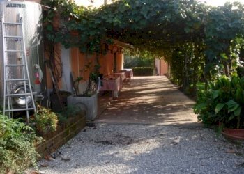 pergolato estivo.jpg - Casale via di san martino, Lucca - foto 25