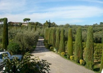 strada entrata.jpg - Casale via di san martino, Lucca - foto 28