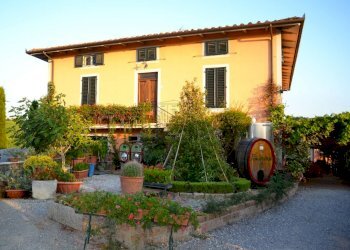 fronte.jpg - Casale via di san martino, Lucca - foto 2