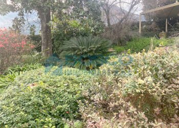 IMG_4831.jpg - Appartamento Piazzale Emanuele Ferro 2005, La Spezia - foto 17