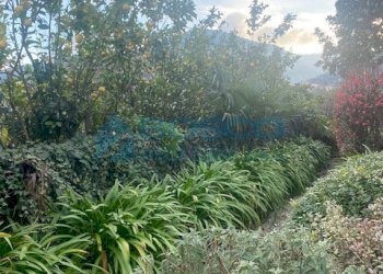 IMG_4832.jpg - Appartamento Piazzale Emanuele Ferro 2005, La Spezia - foto 18