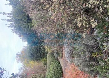 IMG_4833.jpg - Appartamento Piazzale Emanuele Ferro 2005, La Spezia - foto 19