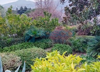 9.jpg - Appartamento Piazzale Emanuele Ferro 2005, La Spezia - foto 20