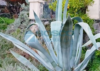 5.jpg - Appartamento Piazzale Emanuele Ferro 2005, La Spezia - foto 23