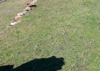 Terreno edificabile Pont-Saint-Martin - foto 5