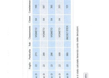 Terreno edificabile Pont-Saint-Martin - foto 18