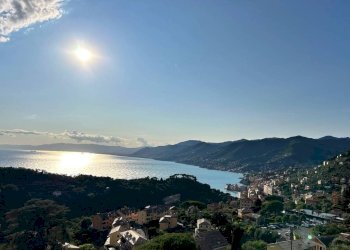 Vista - Terreno edificabile via Pissorella, Camogli - foto 5