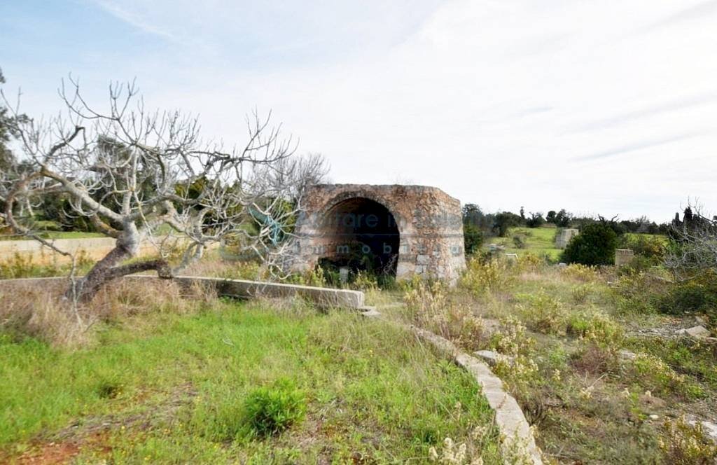 Terreno - Agricultural land strada Comunale del Colle, Salve - photo 3