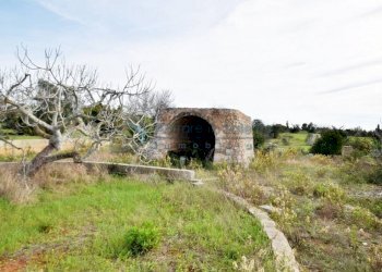 Terreno - Agricultural land strada Comunale del Colle, Salve - photo 3