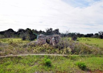 Terreno - Agricultural land strada Comunale del Colle, Salve - photo 4