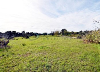Terreno - Agricultural land strada Comunale del Colle, Salve - photo 5