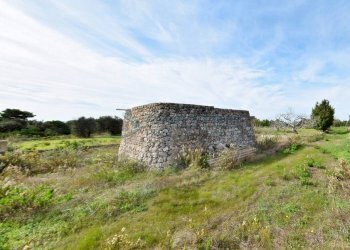 Terreno - Agricultural land strada Comunale del Colle, Salve - photo 6