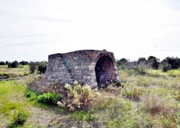 Terreno - Agricultural land strada Comunale del Colle, Salve - photo 7