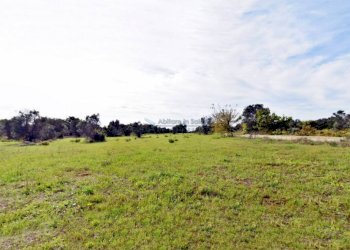 Terreno - Agricultural land strada Comunale del Colle, Salve - photo 14