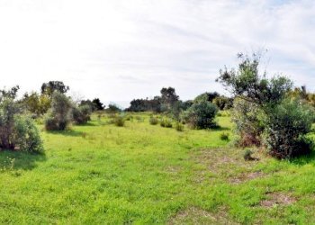 Terreno - Agricultural land strada Comunale del Colle, Salve - photo 16