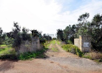Terreno - Agricultural land strada Comunale del Colle, Salve - photo 17