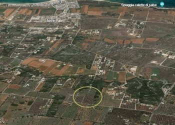 Mappa - Agricultural land strada Comunale del Colle, Salve - photo 19