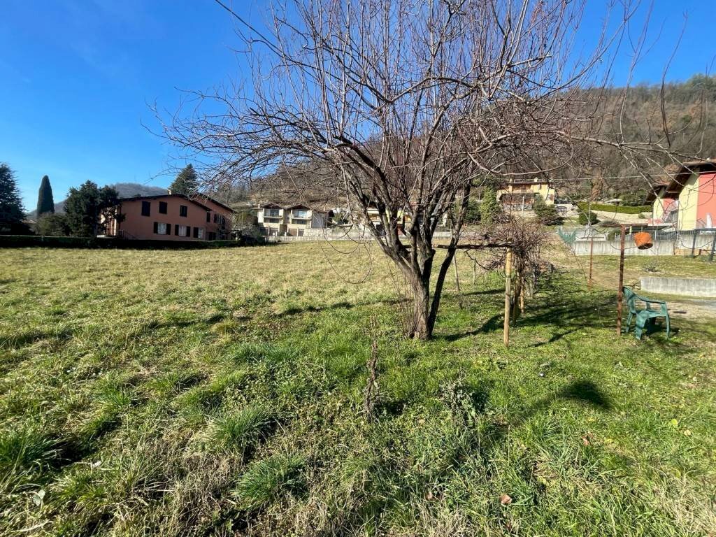 Terreno - Terreno edificabile via Luzzana, Borgo di Terzo - foto 3