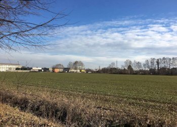 terreno - Terreno edificabile via Luzzana, Borgo di Terzo - foto 14