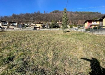 Terreno - Terreno edificabile via Luzzana, Borgo di Terzo - foto 15