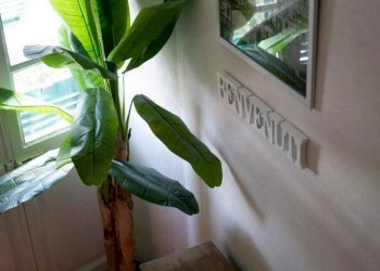 IMG-20240131-WA0007.jpg - Appartamento Sarzana - foto 12