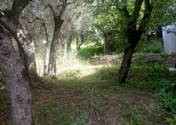 IMG_20230622_095612.jpg - Casa indipendente Massarosa - foto 15