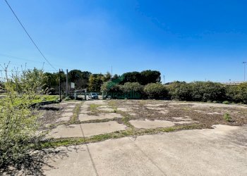 IMG_E9514.JPG - Locale Commerciale Provinciale per Acquaviva 1812, Gioia del Colle - foto 7