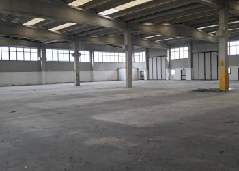 20211117_110911.jpg - Capannone SP193 2, Maleo - foto 3