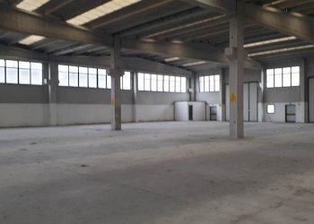 20211117_110926.jpg - Capannone SP193 2, Maleo - foto 12