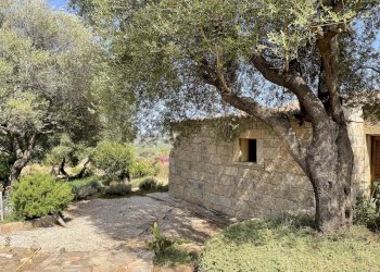 Villa Olbia - foto 12