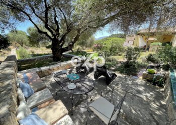 Villa Olbia - photo 4