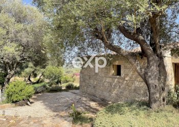 Villa Olbia - photo 12