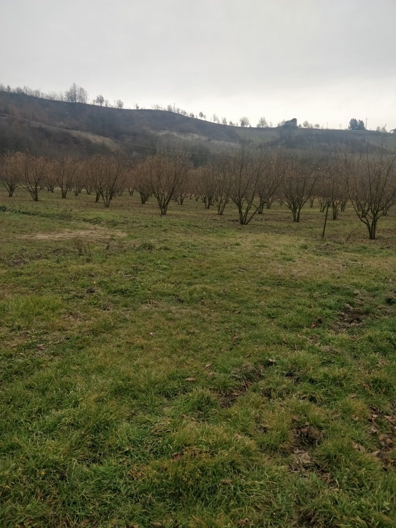 Terreno agricolo Acqui Terme - foto 3
