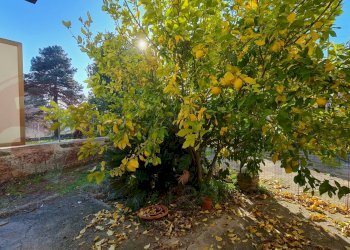 Stabile - Palazzo Via Casanuova, Monte San Giovanni Campano - foto 5