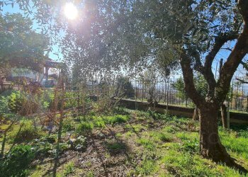 Rustico Via Degli Ulivi, Cervaro - foto 27