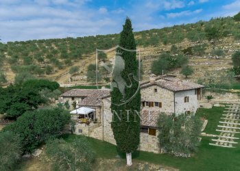 Rustic strada di molilungo, Radda in Chianti - photo 8