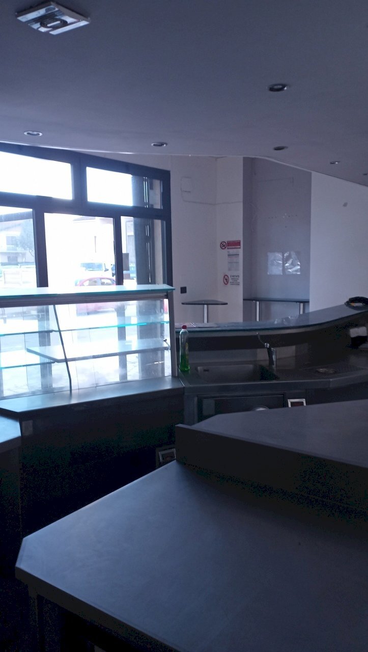 1706885234720.jpg - Cafeteria - Cold Bar Camaiore - photo 2
