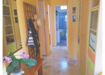 8.jpg - Three-room apartment Zoagli - photo 9