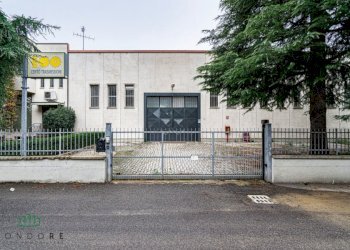 Capannone Via Friuli, Castel San Pietro Terme (zona Bolognina) - foto 1