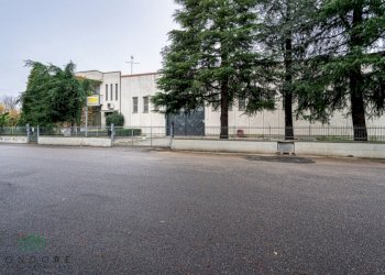 Capannone Via Friuli, Castel San Pietro Terme (zona Bolognina) - foto 3