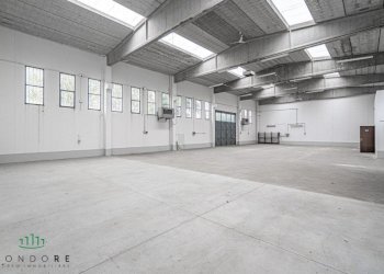 Capannone Via Friuli, Castel San Pietro Terme (zona Bolognina) - foto 5