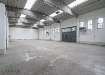 Capannone Via Friuli, Castel San Pietro Terme (zona Bolognina) - foto 8