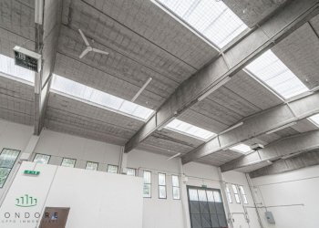 Capannone Via Friuli, Castel San Pietro Terme (zona Bolognina) - foto 12