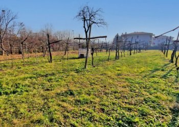 Retecasa_Cornedo - Terreno edificabile Via Castello 17, Brogliano - foto 2