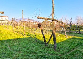 Retecasa_Cornedo - Terreno edificabile Via Castello 17, Brogliano - foto 3