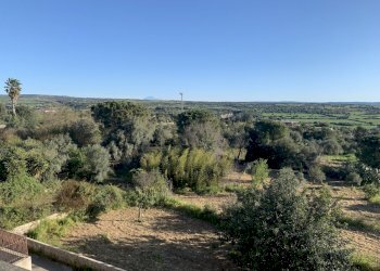 panorama cani.jpg - Appartamento via Rio  4, Canicattini Bagni - foto 11